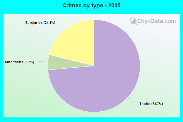 Crimes by type - 2005