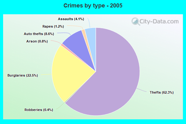 Crimes by type - 2005