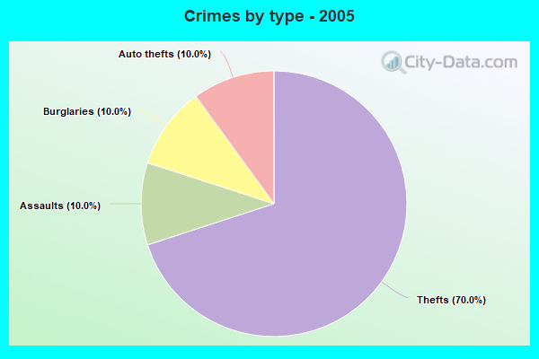 Crimes by type - 2005