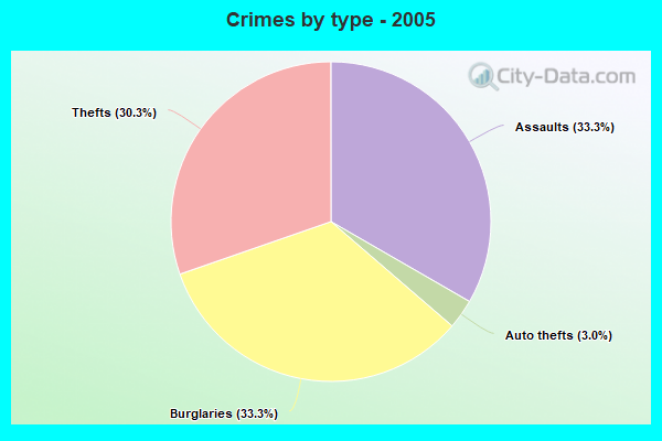 Crimes by type - 2005