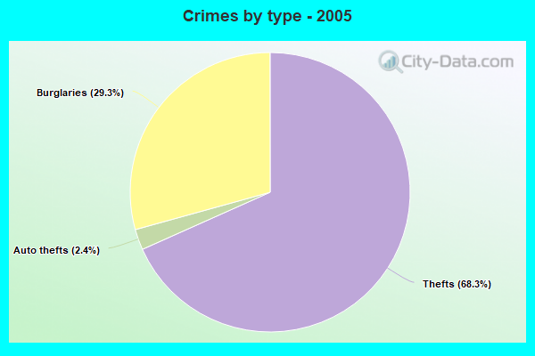 Crimes by type - 2005