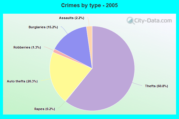 Crimes by type - 2005