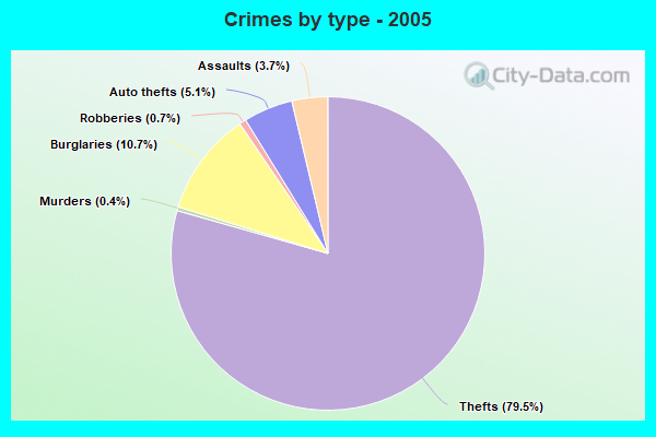 Crimes by type - 2005