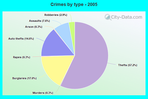 Crimes by type - 2005