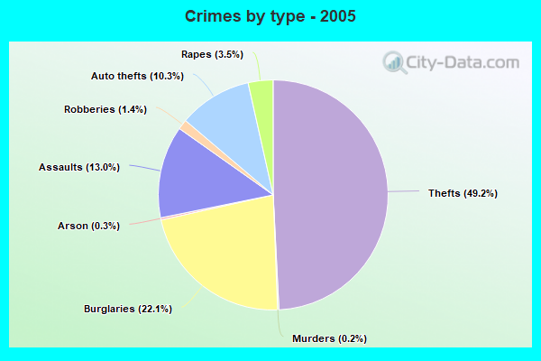 Crimes by type - 2005