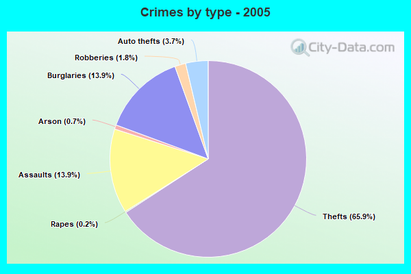 Crimes by type - 2005