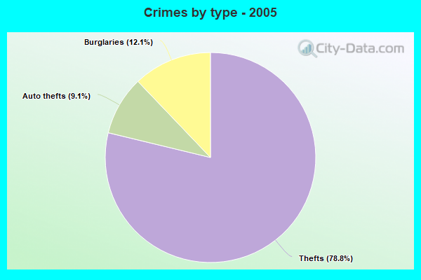 Crimes by type - 2005