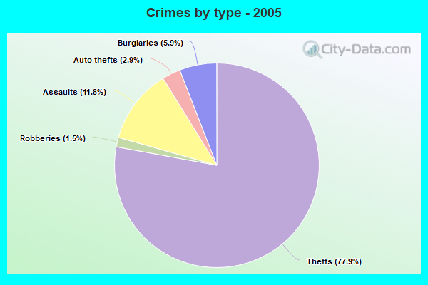 Crimes by type - 2005