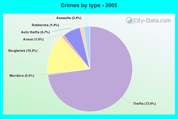 Crimes by type - 2005