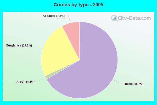 Crimes by type - 2005