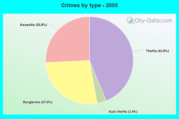 Crimes by type - 2005