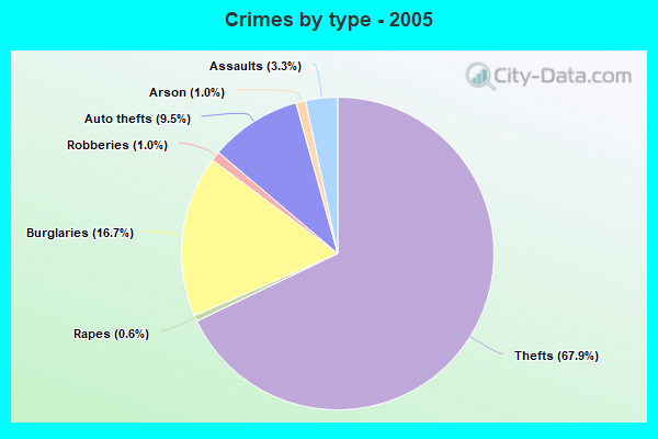 Crimes by type - 2005