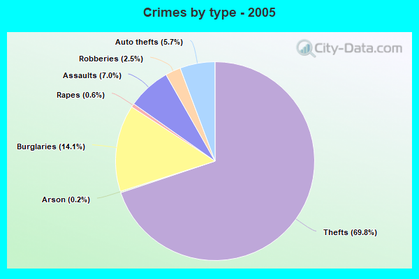 Crimes by type - 2005