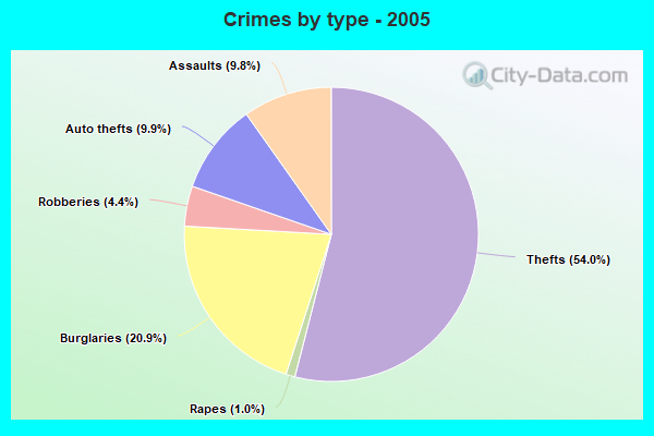 Crimes by type - 2005