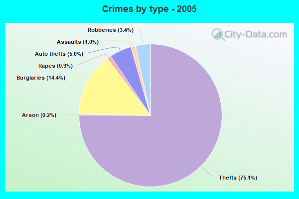 Crimes by type - 2005