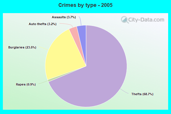 Crimes by type - 2005