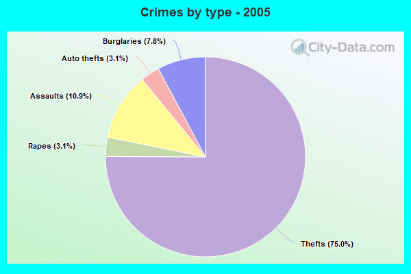 Crimes by type - 2005