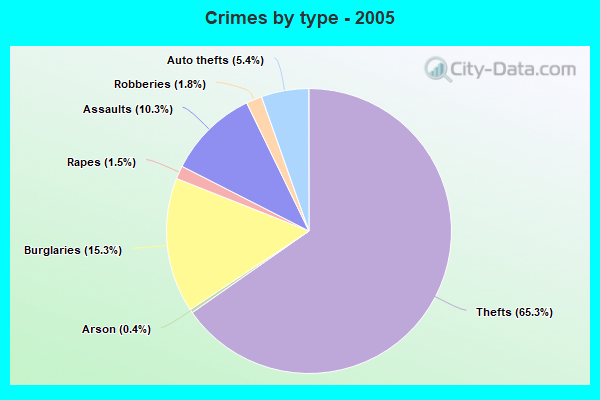 Crimes by type - 2005