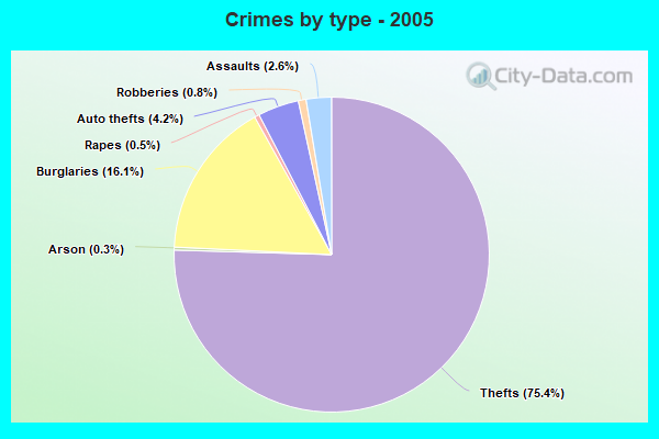 Crimes by type - 2005