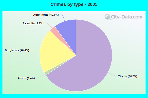 Crimes by type - 2005