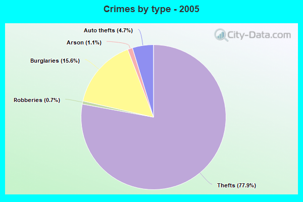 Crimes by type - 2005