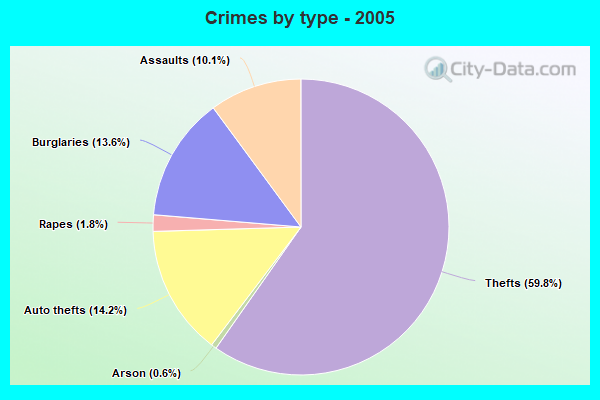 Crimes by type - 2005