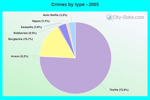 Crimes by type - 2005