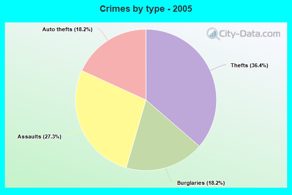 Crimes by type - 2005