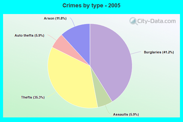 Crimes by type - 2005