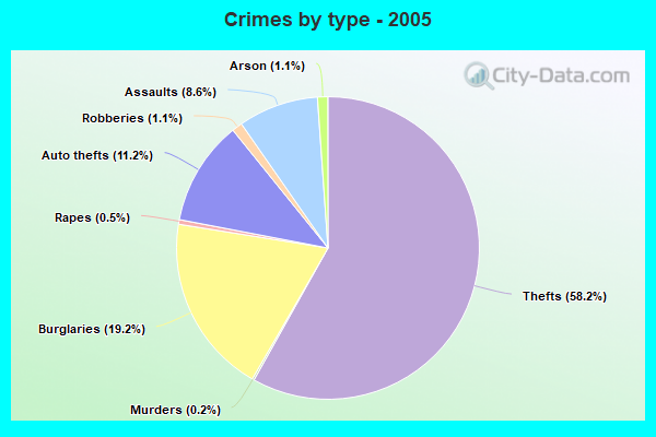 Crimes by type - 2005