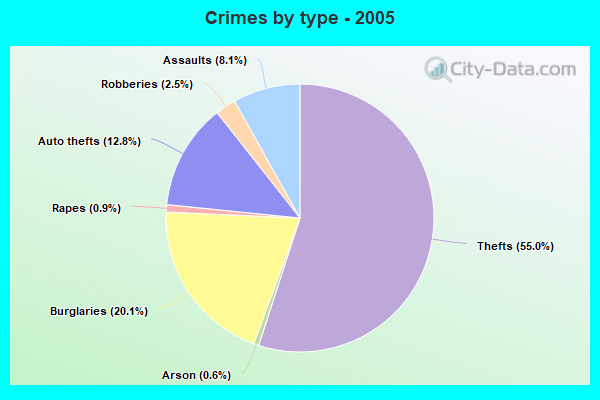 Crimes by type - 2005