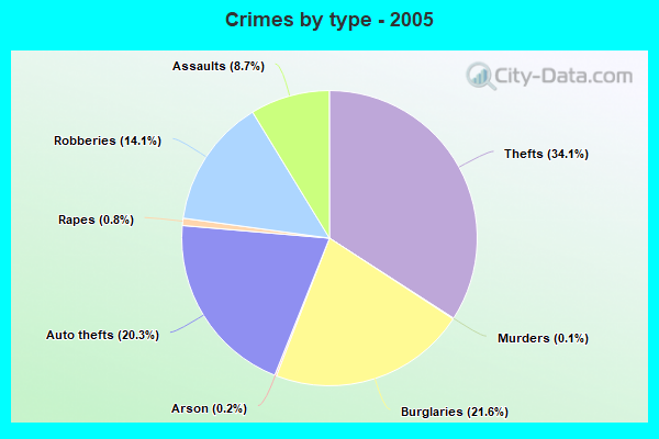 Crimes by type - 2005