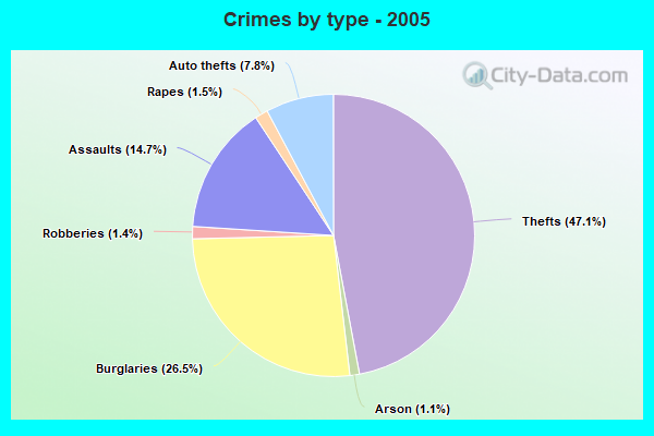 Crimes by type - 2005