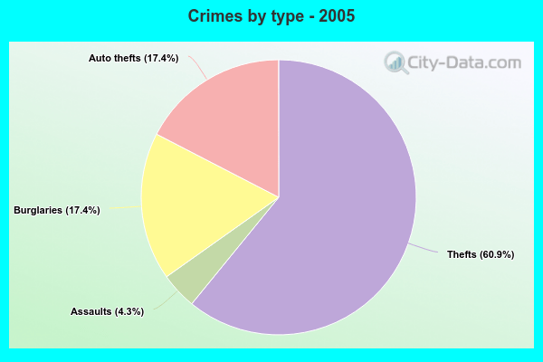 Crimes by type - 2005