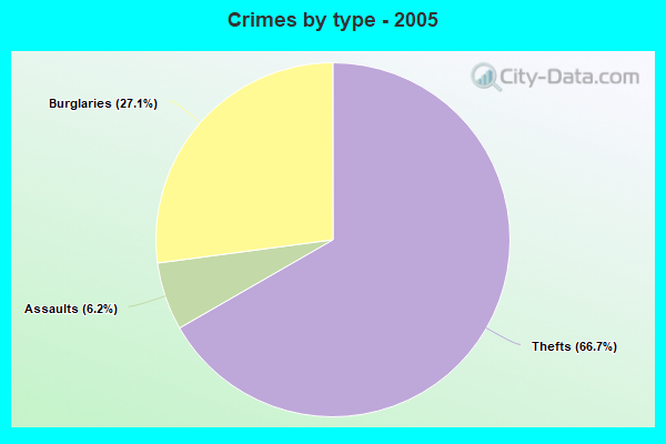 Crimes by type - 2005