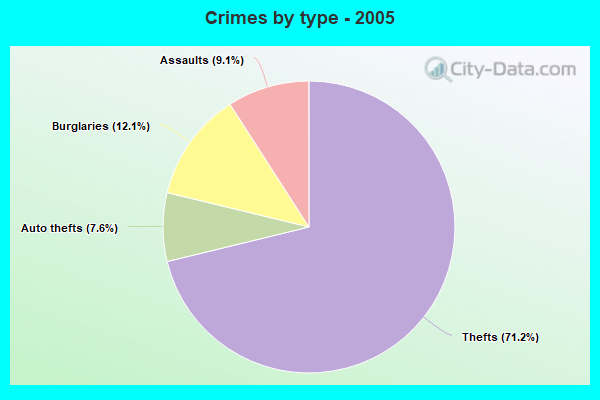 Crimes by type - 2005