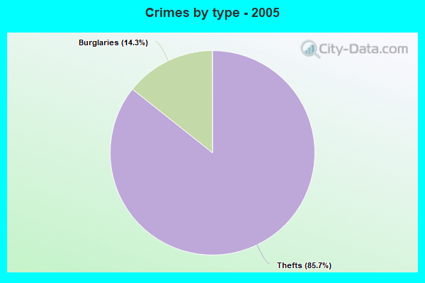 Crimes by type - 2005