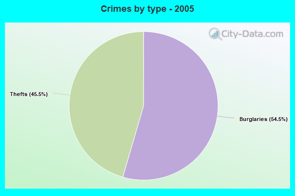 Crimes by type - 2005