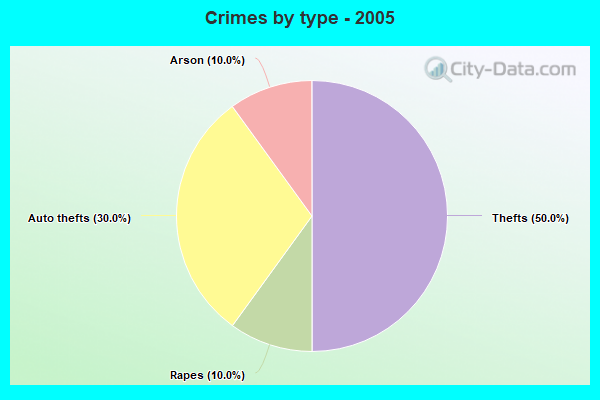 Crimes by type - 2005