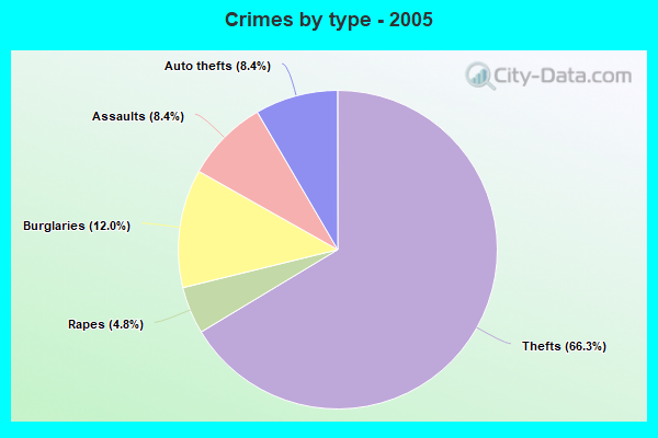 Crimes by type - 2005