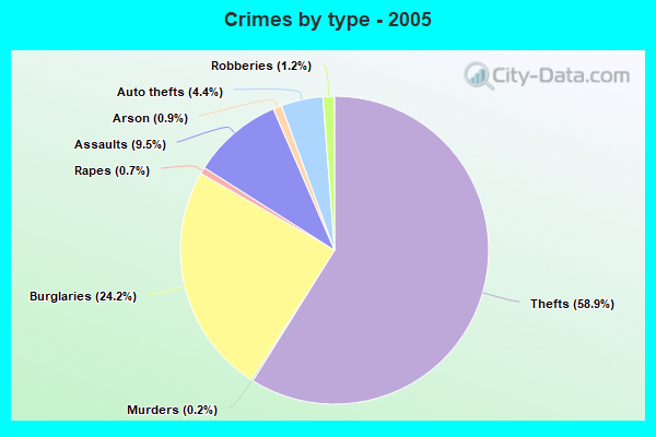 Crimes by type - 2005