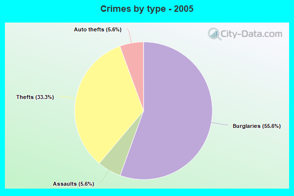 Crimes by type - 2005