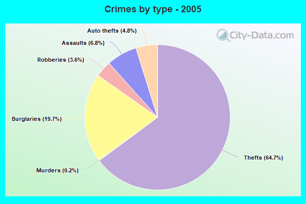 Crimes by type - 2005