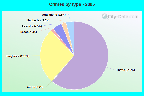 Crimes by type - 2005