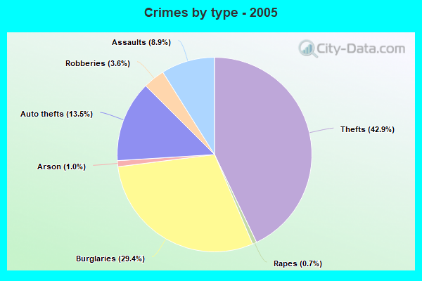 Crimes by type - 2005