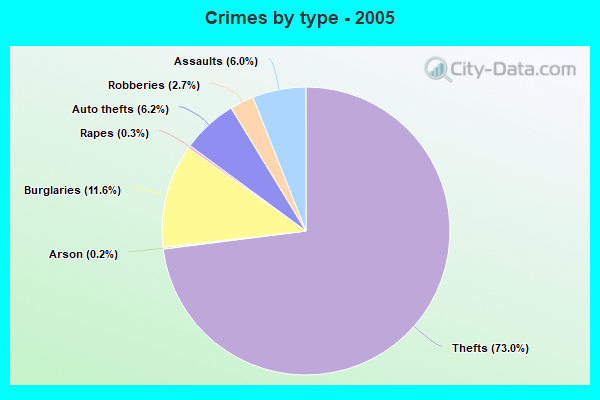 Crimes by type - 2005