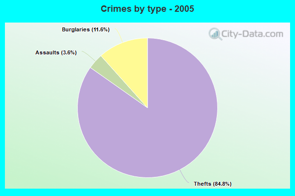 Crimes by type - 2005