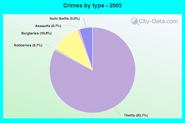 Crimes by type - 2005