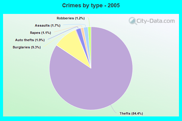 Crimes by type - 2005