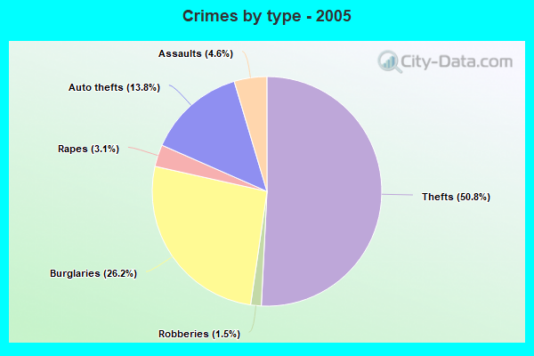 Crimes by type - 2005